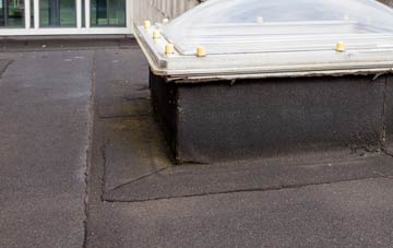 disadvantages of Bridge End flat roofs