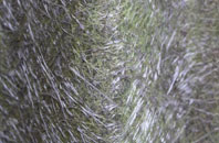 Bridge End fibreglass roof work